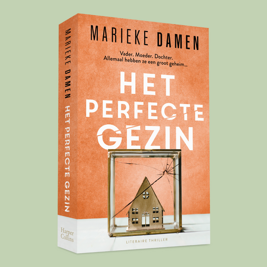 8. Het perfecte gezin (psychologische thriller)